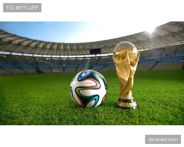 2026世界杯照明和设备标准是什么