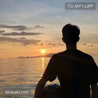 费朗标